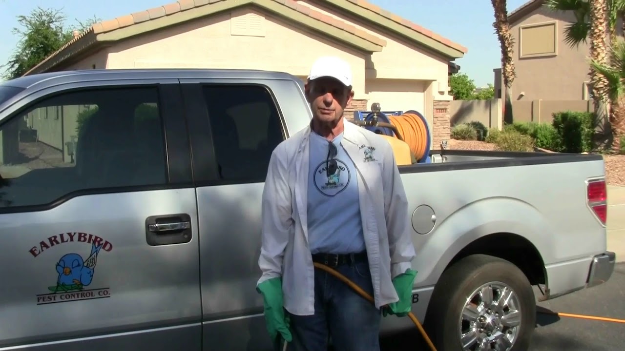 Earlybird Pest Control project