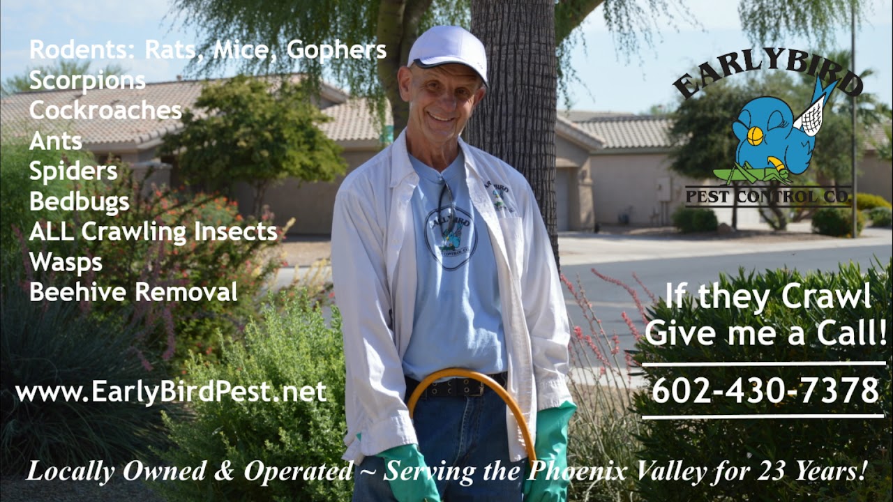 Earlybird Pest Control project